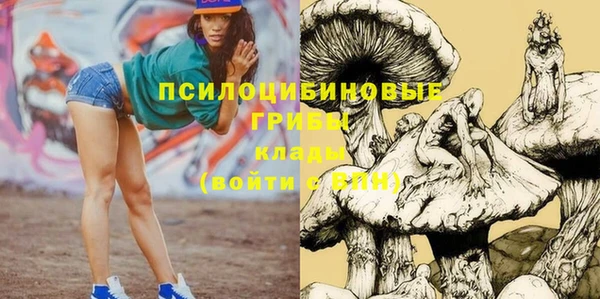 Альфа ПВП Армянск