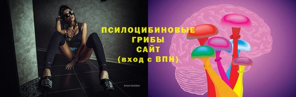 винт Аркадак