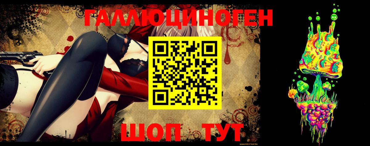 Галлюциногенные грибы Psilocybine cubensis  Вход с VPN  Заречный 