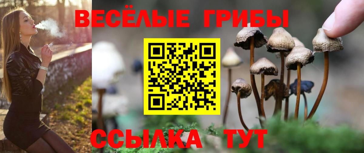 Галлюциногенные грибы Cubensis Заречный